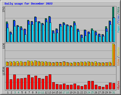 Daily usage for December 2022