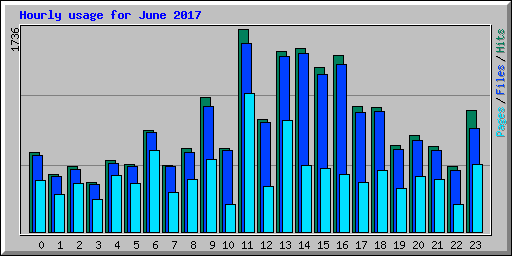 Hourly usage for June 2017