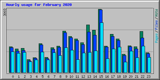 Hourly usage for February 2020