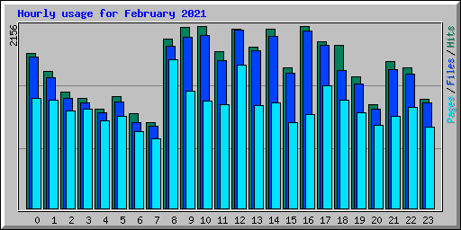 Hourly usage for February 2021