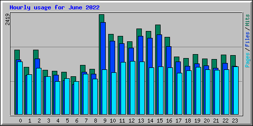 Hourly usage for June 2022