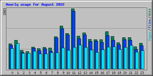 Hourly usage for August 2022