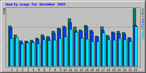 Hourly usage for December 2022