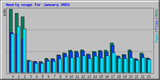 Hourly usage for January 2023